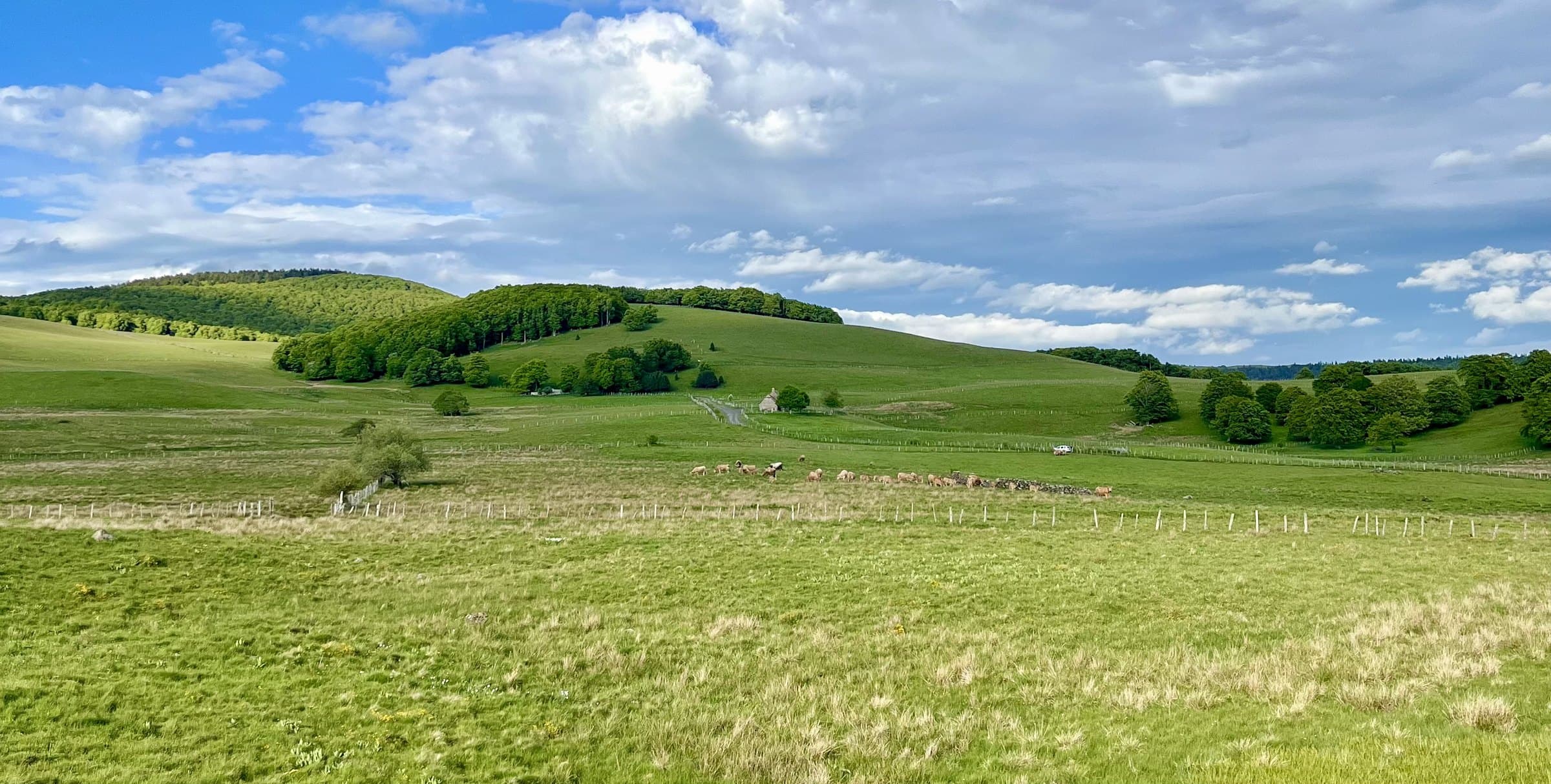 Les prairies et les bois de l'Aubrac, secteur d'intervention de Bur'Aubrac Secrétariat
